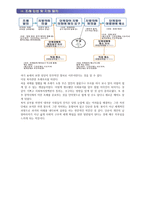 사회복지 정책론 복지 관련 조례 조사-5