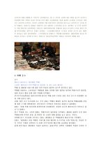 인터넷 쇼핑의 문제점2-4