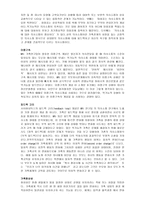 전략적 가족치료-2