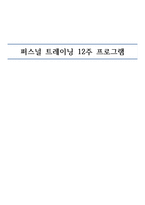 퍼스널 트레이닝 12주 프로그램 다이어트 체력 증가 견관절 강화 목적-1
