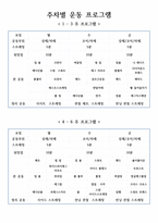 퍼스널 트레이너 통합과정 12주 운동프로그램 계획안3-5