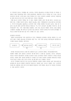 소비자 행동 광고 심리학적 관점-6