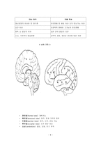 자폐스펙트럼 장애-8