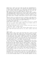스페인 축제 레포트-3