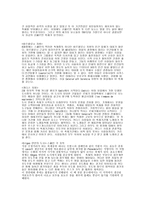 스페인 축제 레포트-4