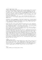 스페인 축제 레포트-6