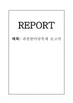 과천 한마당 축제 보고서-1