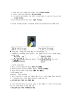 아동기 보고서 레포트-6