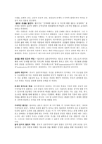 실존주의 신학 실존철학의 흐름-3