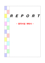 중국 사업계획서 길거리 음식 떡볶이 붕어빵 호박엿 호떡 순대 김밥 등등-1