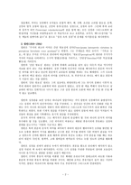 성경해석의 역사 종교개혁자들의 성경해석-2