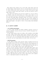성경해석의 역사 종교개혁자들의 성경해석-3