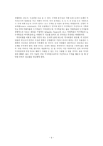 성경해석의 역사 종교개혁자들의 성경해석-5