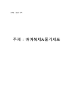종교와 개혁 배아복제 줄기세포-1
