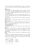 Berne의 상호교류분석이론-7