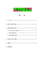 청소년 문제 청소년의 정의 및 특징-1