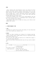 지역사회복지개발원 사회복지개발원의 이해 부산 복지개발원 현황의 문제점과 개선방안-1