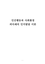 인간 행동과 사회환경 피아제의 인지발달이론-1