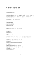 비전트레이닝센터 사회복지기관 조사-6