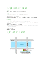광주 시각장애인연합회 설립목적사업내용-1