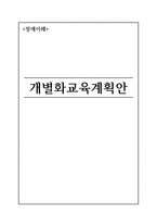 장애이해 개별화교육계획안-1