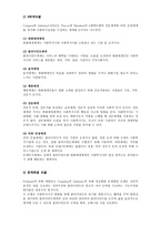 사회복지 실천의 관점 통합적 접근-6