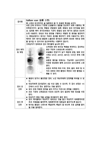 의학용어 검사 REPORT-3