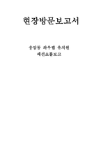 현장방문 보고서 응암동 와우 랩 유치원 패션쇼를 보고-1
