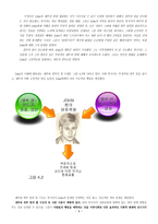 사회복지 윤리와 철학 통합적 실천과 이론의 소개-8