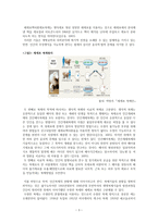 인간복제 보고서-3