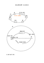 종교 형태론 도표 정리-4