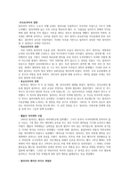 세계 속의 여성 정치인 힐러리 클린턴-2