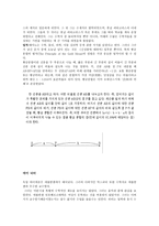 여성 수학자 레포트-2