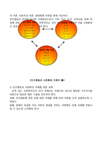 사회복지 실천보고서-4