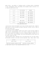 동아시아 발전모델-8