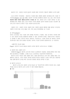 Piaget의 인지발달이론인지발달의 정의 개념-12