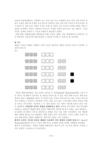 Piaget의 인지발달이론인지발달의 정의 개념-13