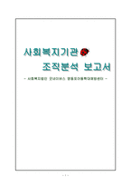사회복지기관조직 분석보고서 사회복지 법인 굿네이버스 영등포 아동학대 예방센터-1