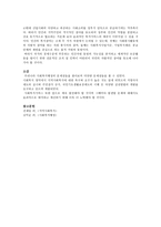 우리나라 사회복지행정의 문제점과 개선방안-3