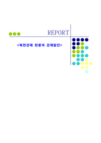 북한 경제현황과 경제발전 북한 경제체제의 특성-1