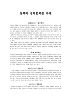 동북아 경제협력론 과제 ASEAN＋３정상회의-1