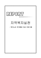 독거노인주거환경개선 프로그램 보고서-1