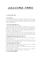 소년소녀 가족과 가족복지-1