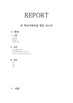 학교 사회사업 방문 보고서 학교 사회복지사의 자격제도-1