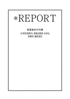 드라마 영화 가관 광산업에 미치는 영향과 발전방안-1