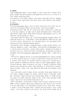 장애인 재가복지-6