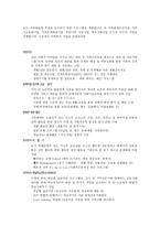 부천 종합사회복지관 기관 방문조사보고서-3