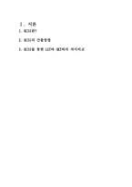 소비자 행동 이론에 따른 LGT의 문제점과 해결방법 KCSI-2