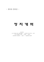 정치개혁 보고서-1