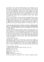 한류의 문제점 레포트-3